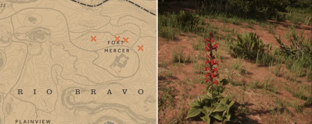 Where to Find Oleander Plant RDR2 Location & Map Guide Gamerz Gateway