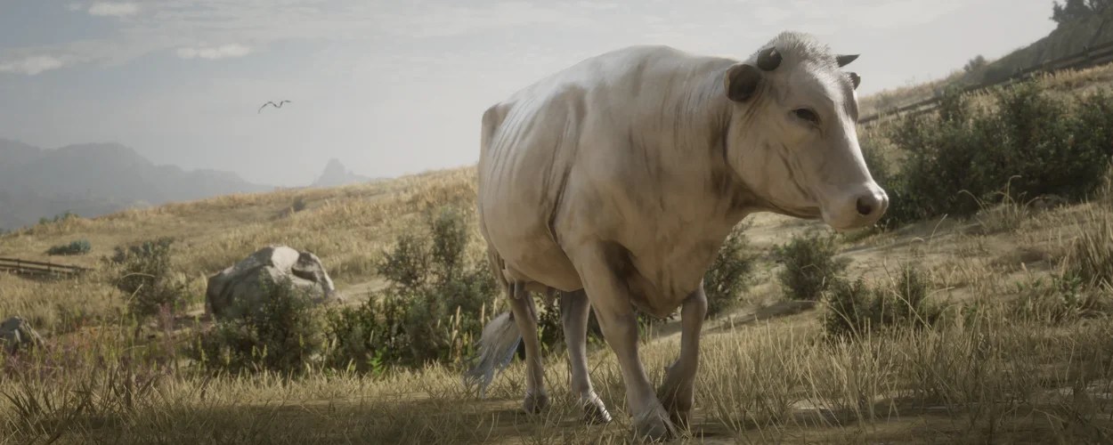 RDR2 Cow Location, Hunting, Tips, Pelt & Complete Guide Gamerz Gateway