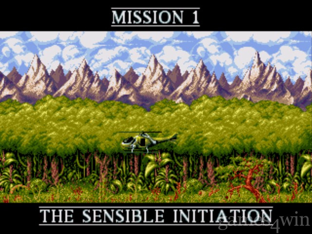 Cannon Fodder Download on Games4Win