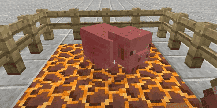Every Stunning Detail About Minecraft Magma Block Game Specifications