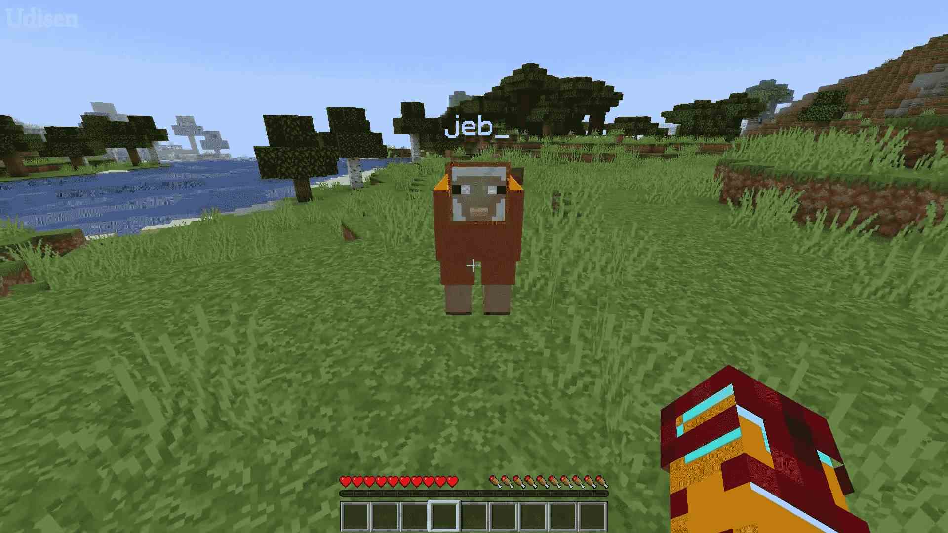 Rainbow Sheep Minecraft Guide To Get Awesome Color Changing Sheep Game Specifications