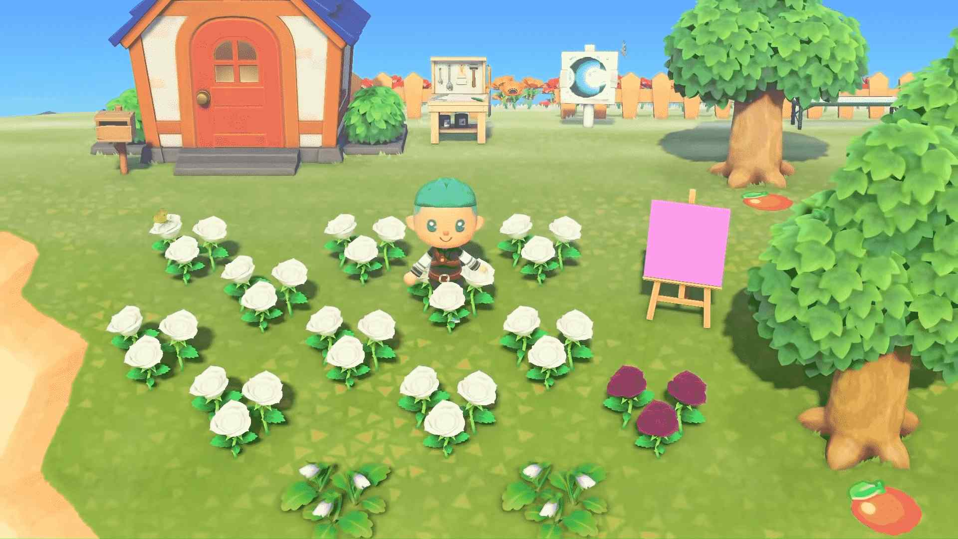 How To Send Gratitude With Flowers Animal Crossing? Game Specifications