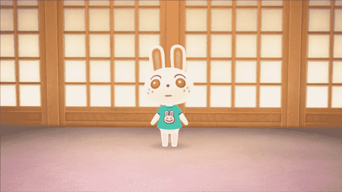 Ruby Animal Crossing Complete Character Guide Game Specifications