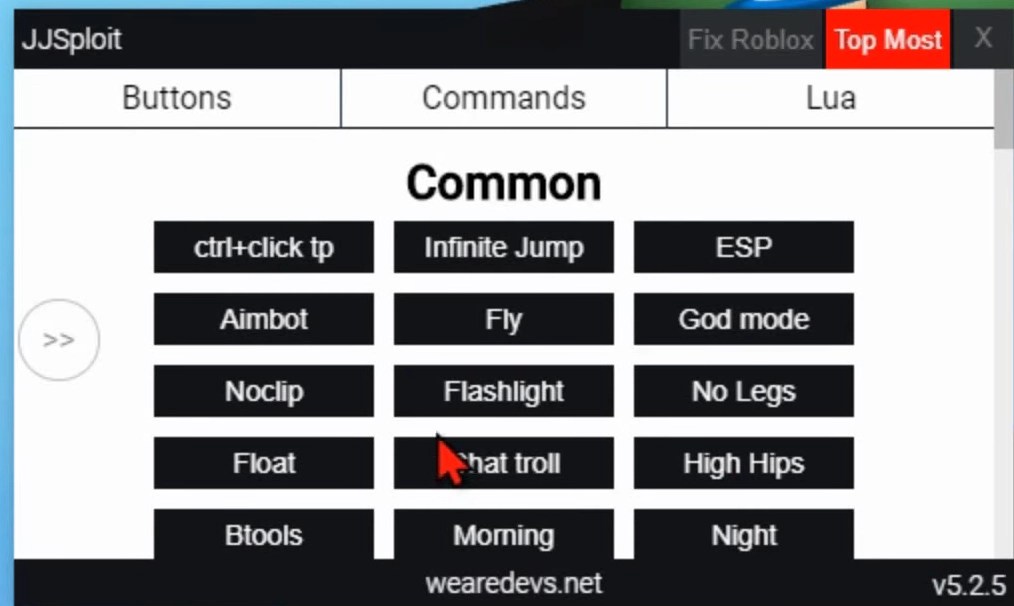 Best Roblox Script Executors [2024] Game Specifications