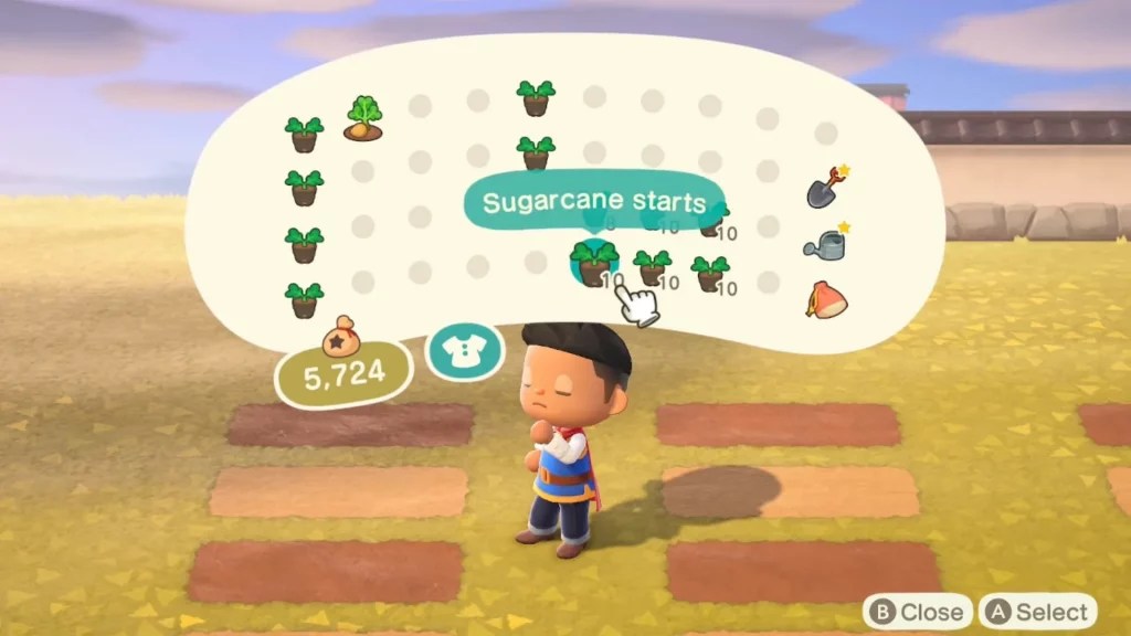 Animal Crossing Vegetable Seeds Guide Game Specifications
