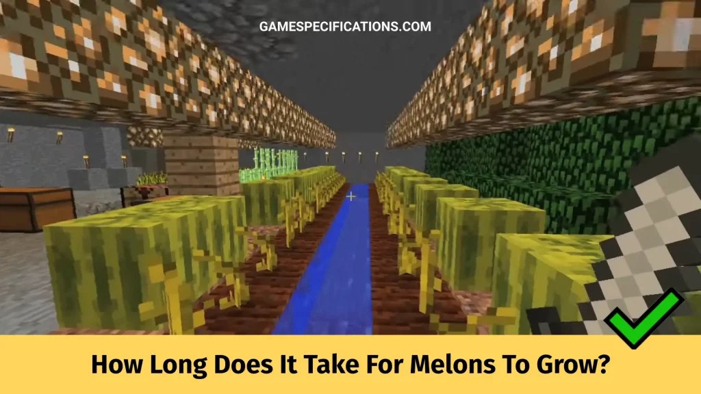 How Long Does It Take For Melons To Grow In Minecraft Game Specifications