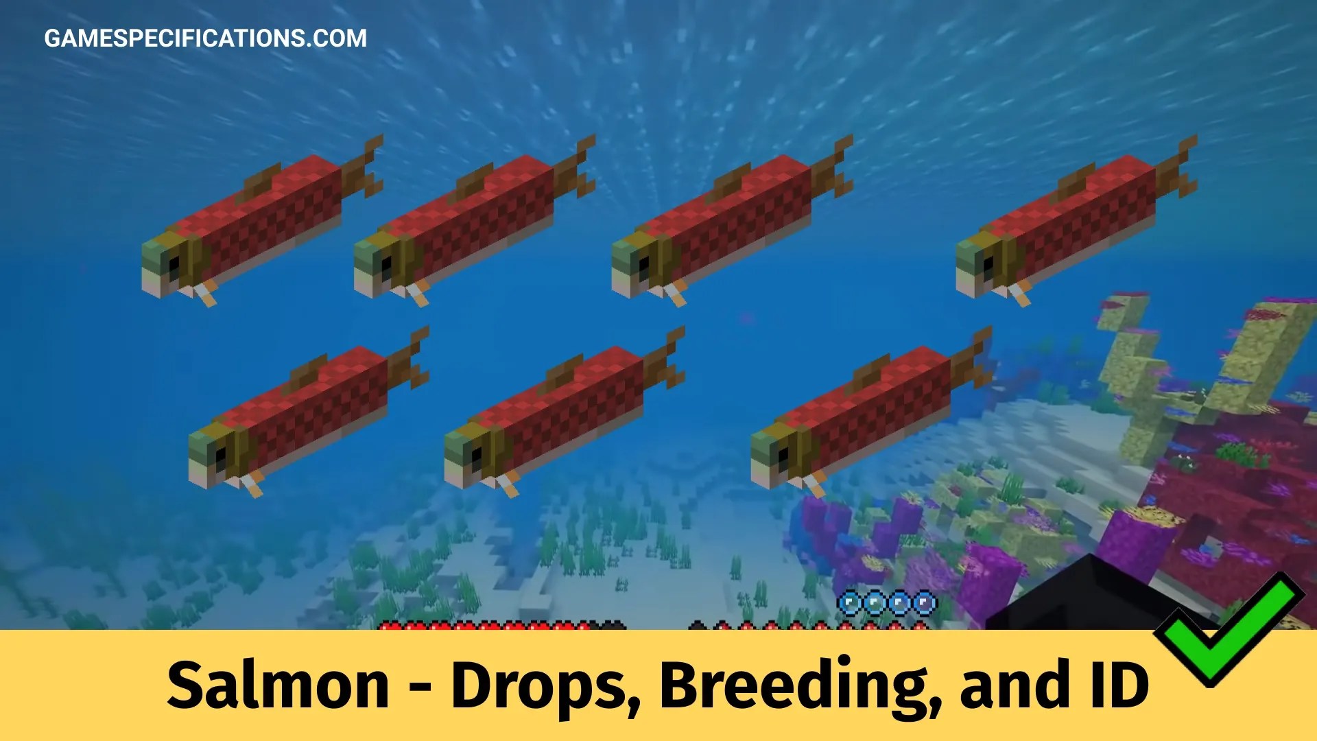 Salmon Minecraft Drops, Breeding, And ID Game Specifications