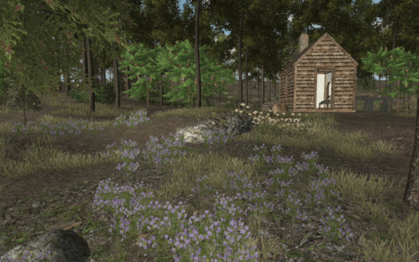 walden Gamification Co