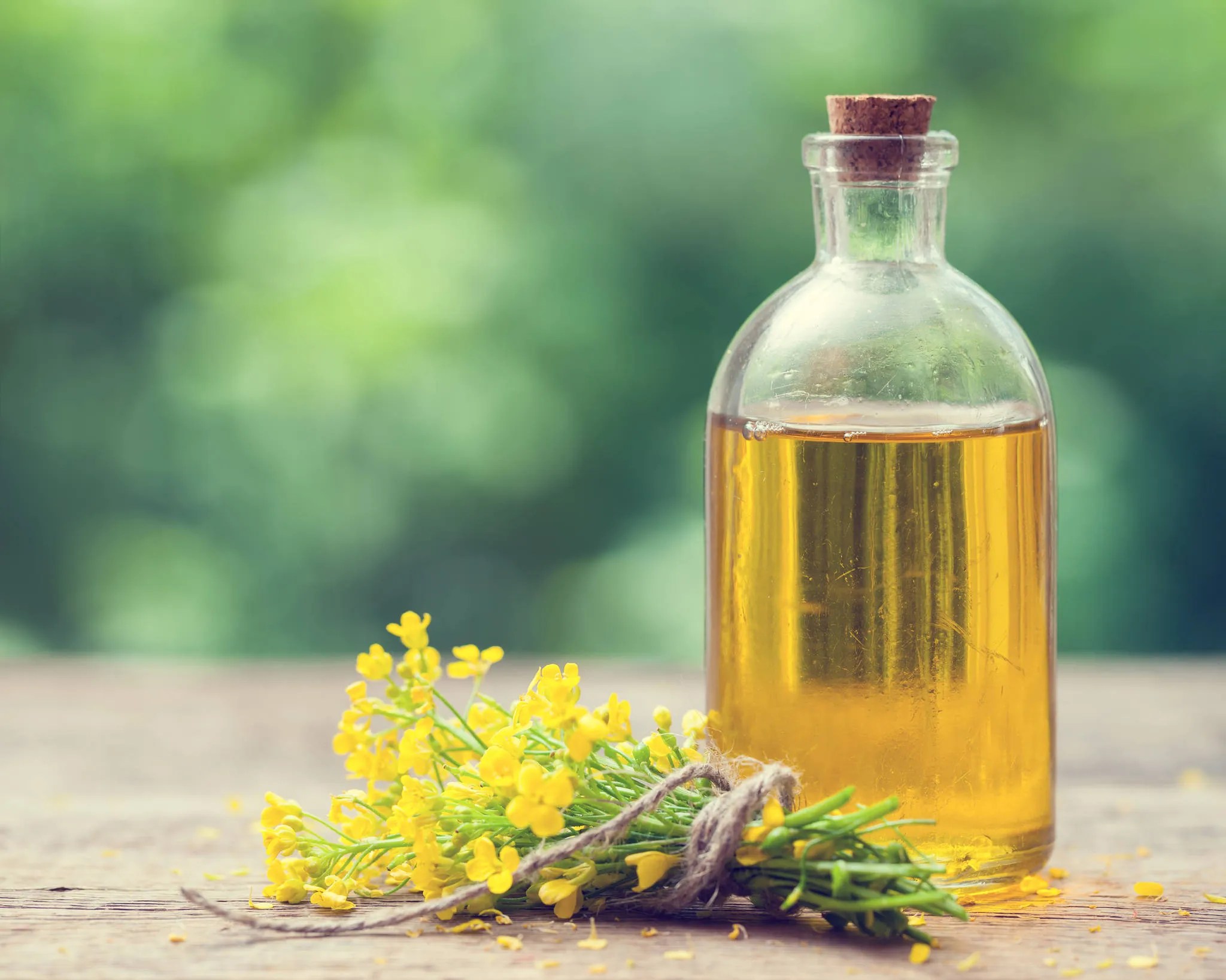 Exploring The Myths And Truths Of Canola Oil
