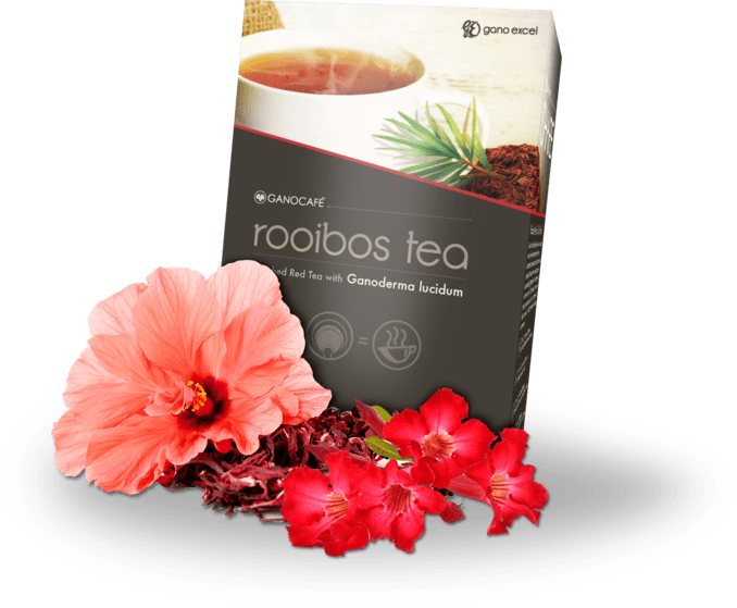 Rooibos Tea Gano Excel US