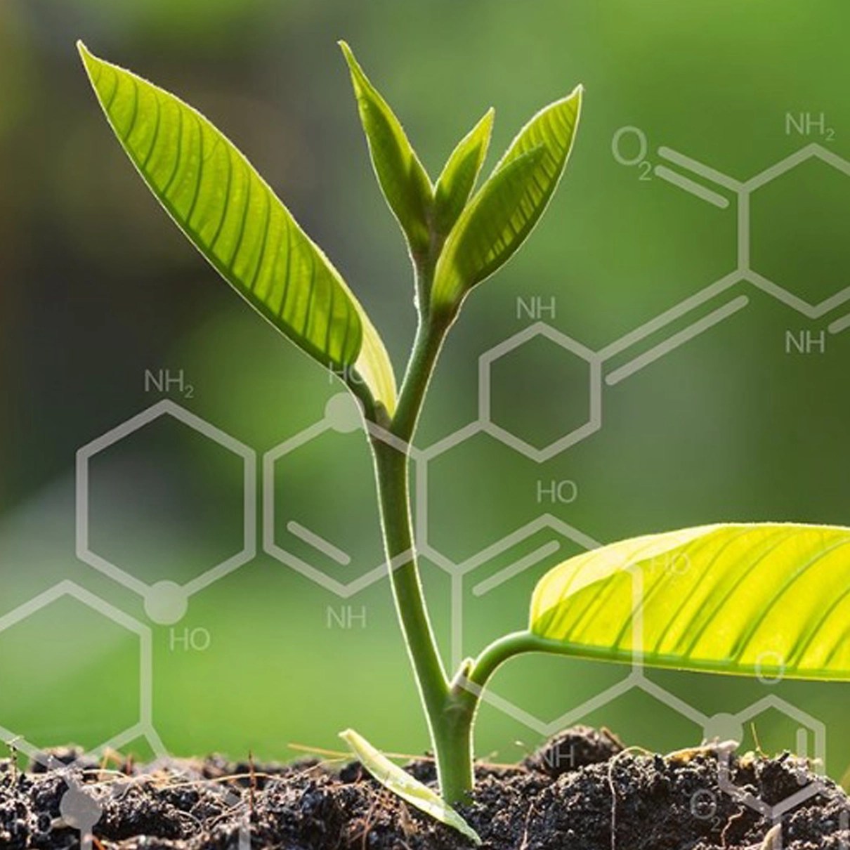 GAPEX Raw Materials Foundation of Quality Tubing Products