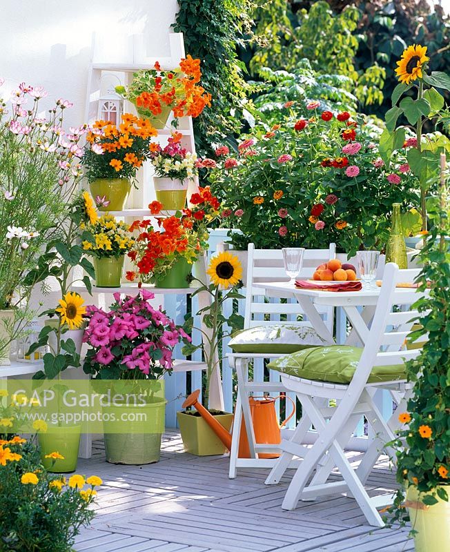 Balcony garden with stock photo by Friedrich Strauss, Image 0111591