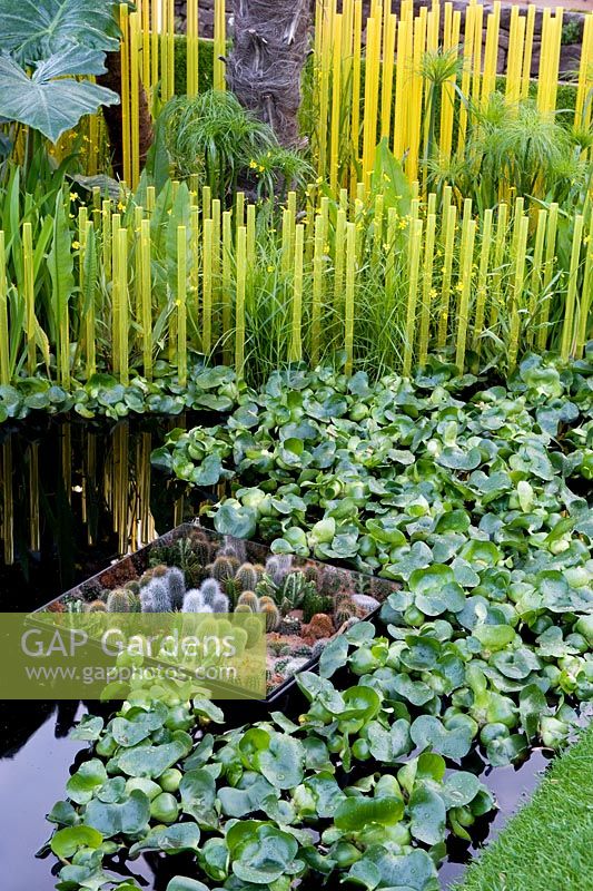 The World Vision Gar... stock photo by Marcus Harpur, Image 0523916