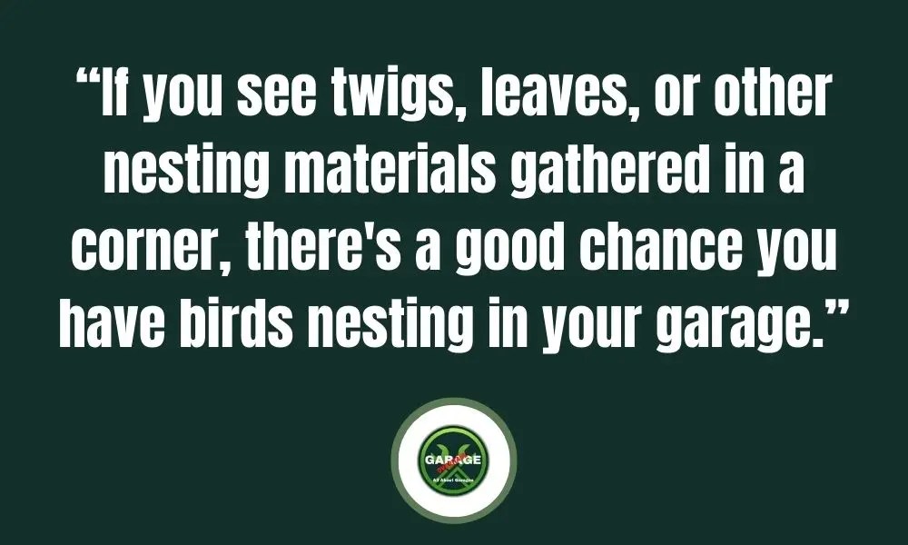 How To Get Birds Out Of Garage Get A Bird Out Of Your Garage Garage