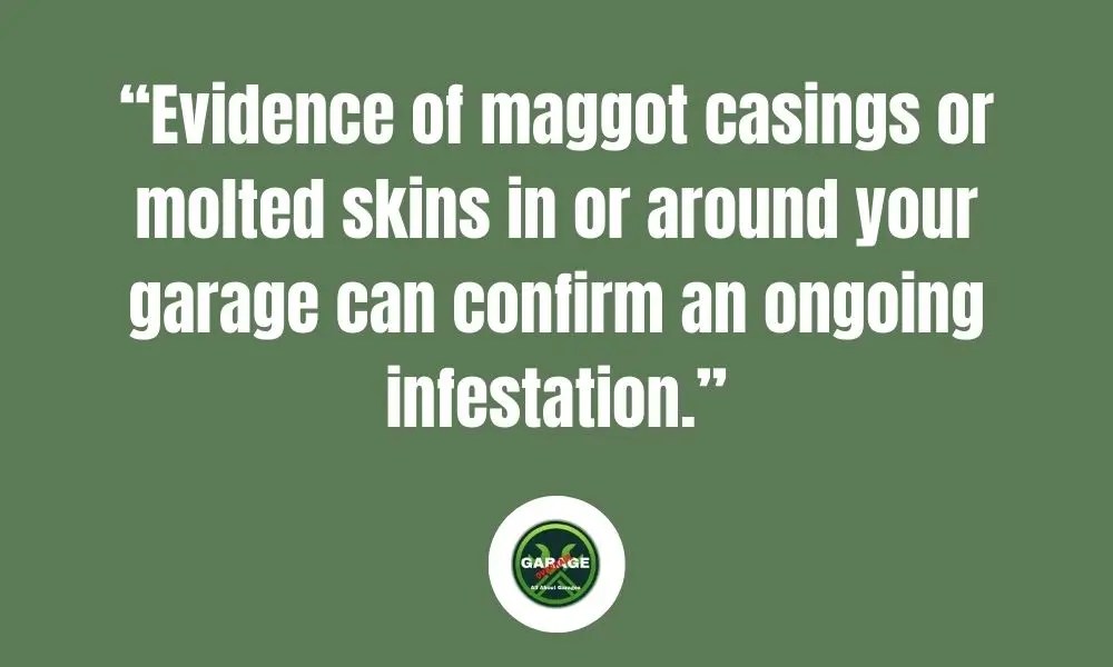 How To Control And Get Rid of Maggots In Garage Garage Overhaul