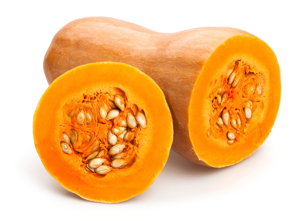 Saving Squash Seeds for Stronger Plants Garden.eco