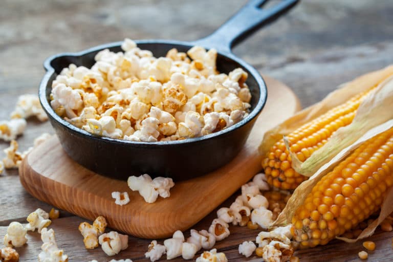 Where Do Popcorn Seeds Come From? Garden.eco