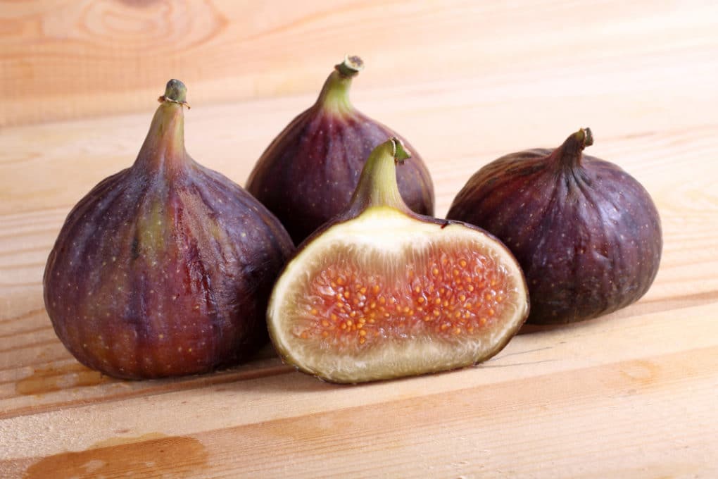 When to Pick Figs » All the Top Tips