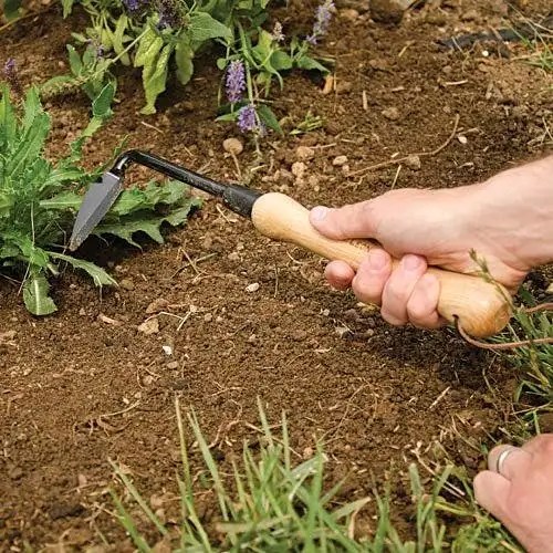 Best Garden Weeding Tool