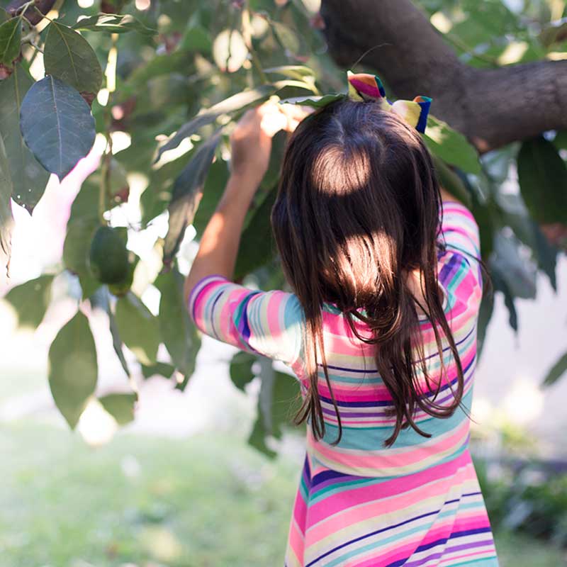 5 Family Friendly Outdoor Activities