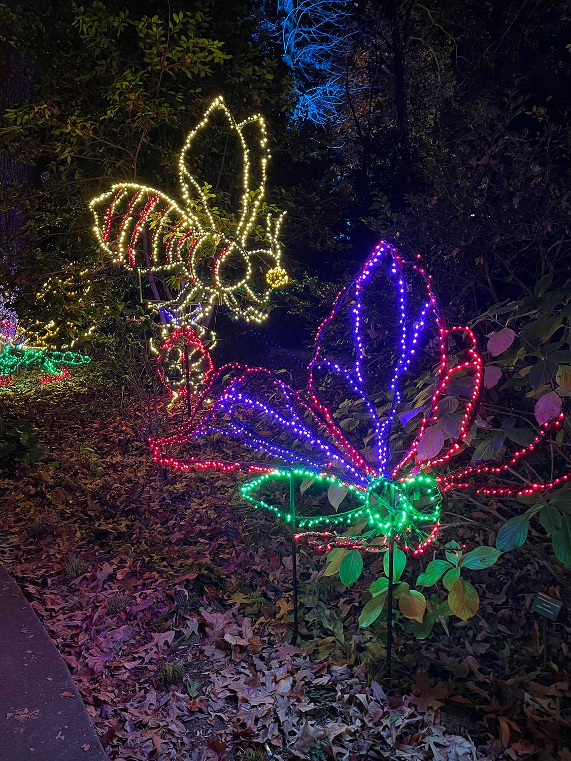 Garden Lights, Holiday Nights at the Atlanta Botanical Garden The