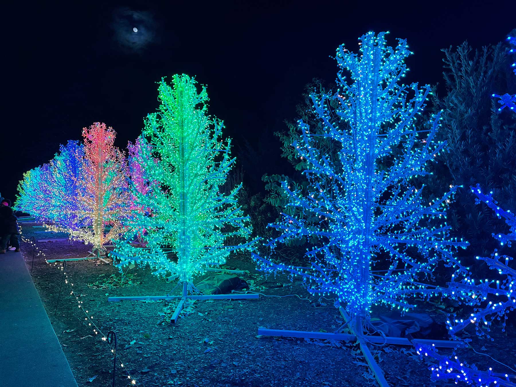 Garden Lights, Holiday Nights at the Atlanta Botanical Garden The