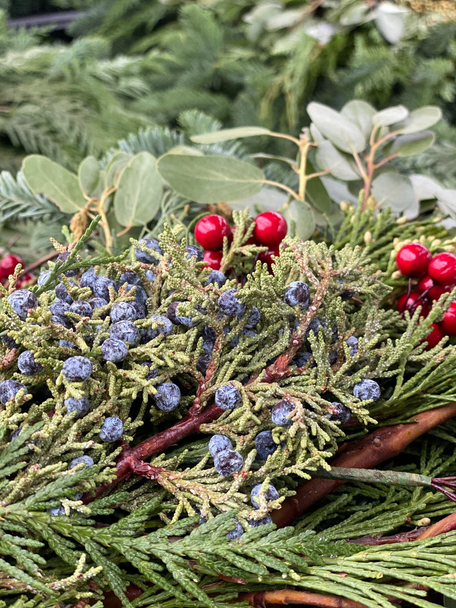 The Garden Factory Home Page