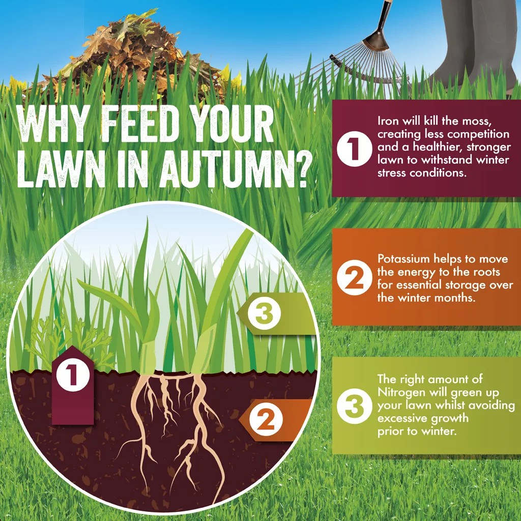 Aftercut All In One Autumn Lawn Feed & Moss Killer Westland Garden Health