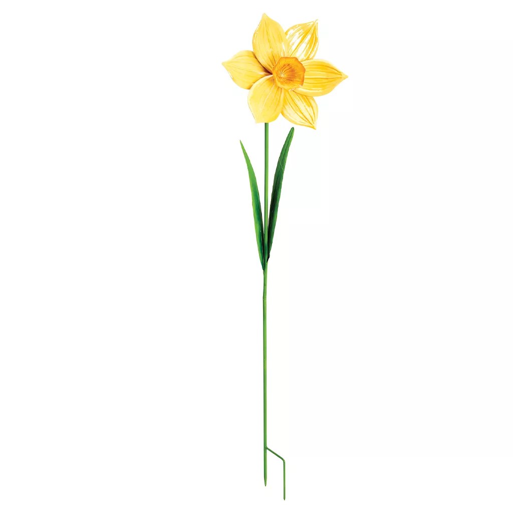 Decorative Daffodil Border Stake Garden Health Westland Horticulture