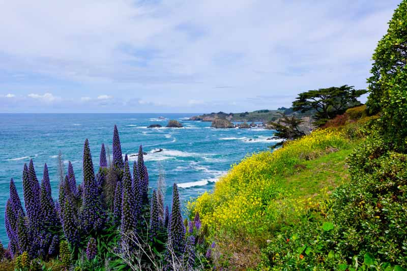 Northern California Inspiring Garden Ideas for all Gardeners