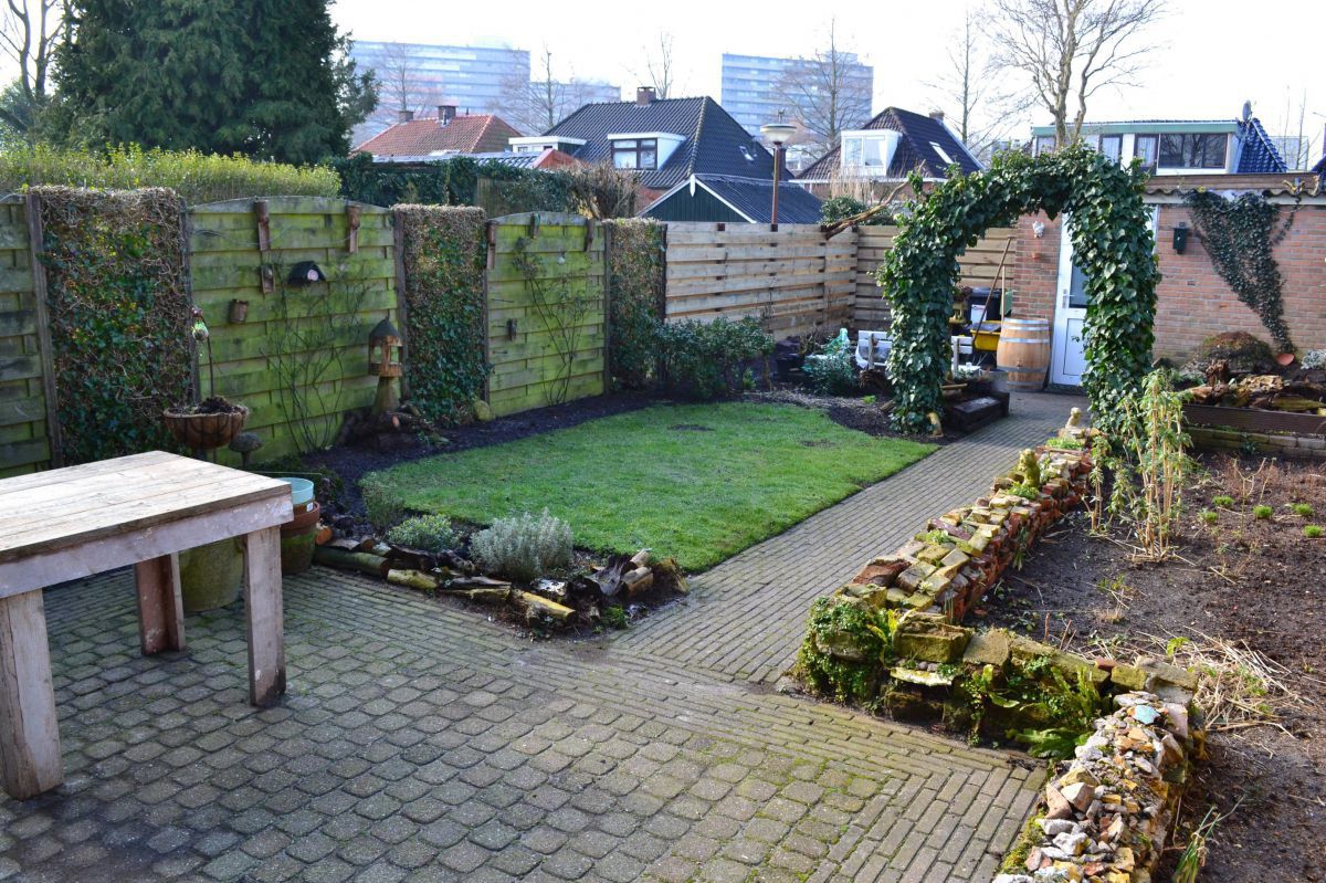 The first year of my garden. Gardening Forums