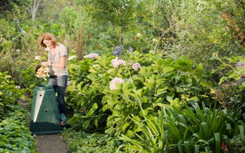 Stop! Don’t Make These 5 Vermicomposting Mistakes If You Want Successful Composting! 2