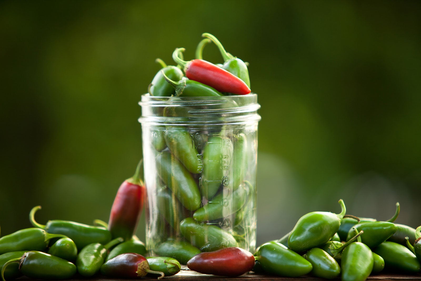Jalapenos Not Getting Hot How To Get Hot Jalapeno Peppers