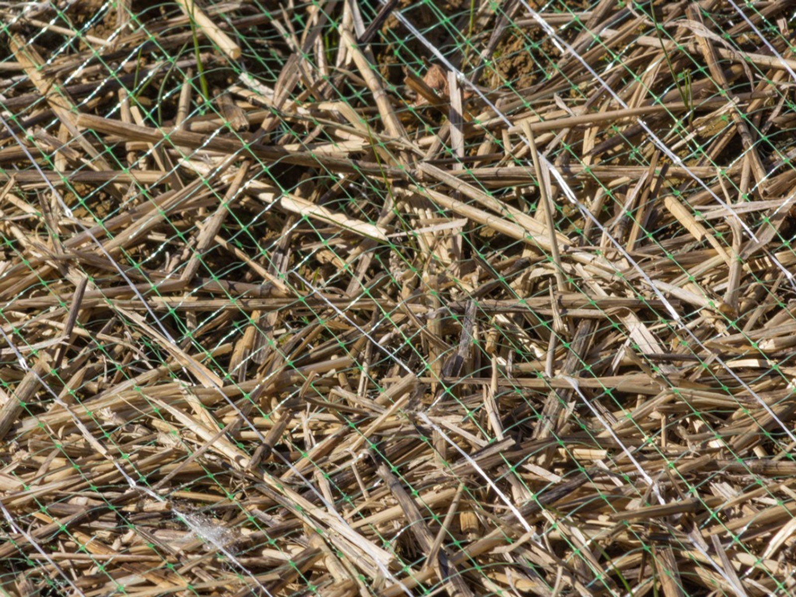 What Is Lawn Netting Types Of Netting For Landscaping