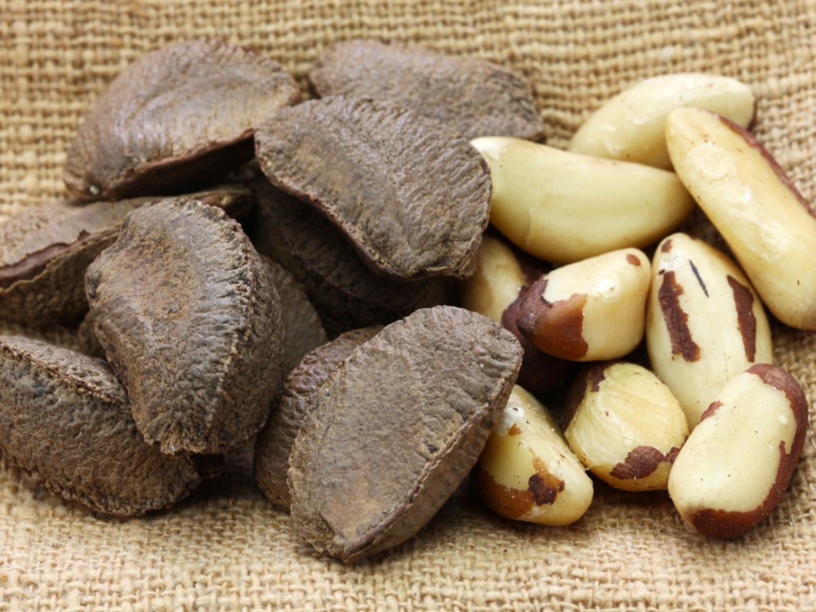 Are Brazil Nuts High In Fiber at James Conn blog