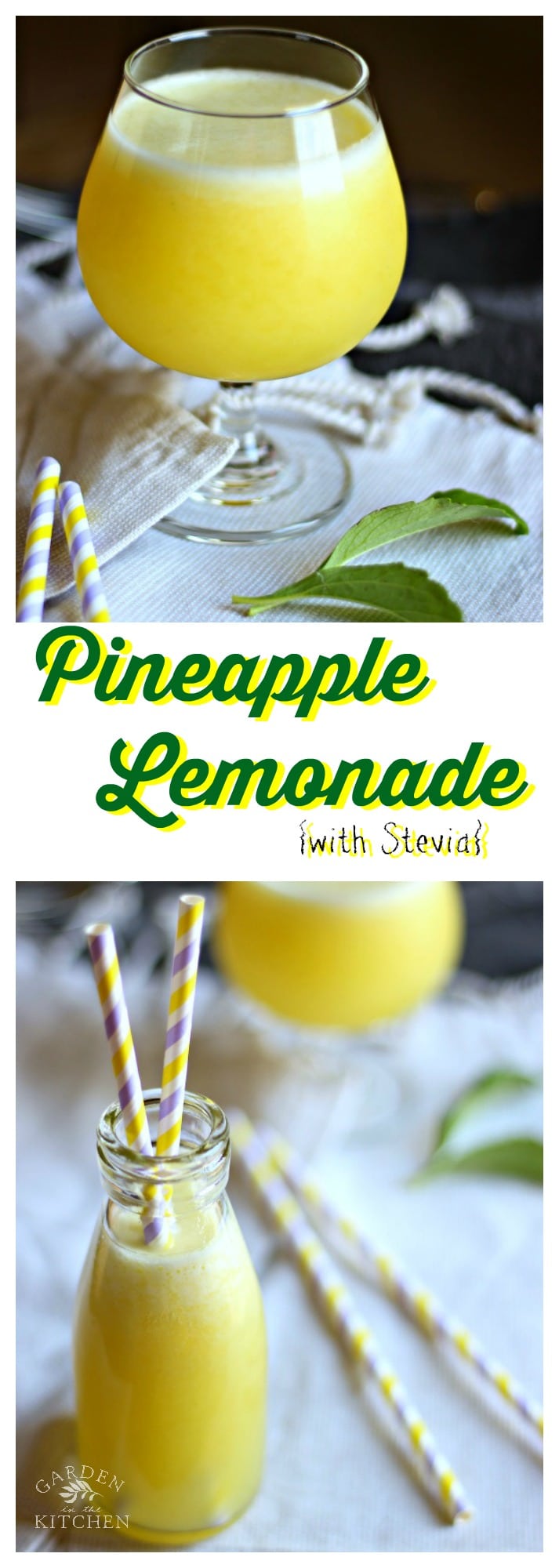 Pineapple Lemonade Garden in the Kitchen