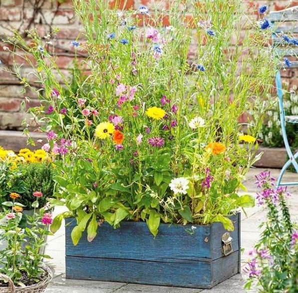 Garden Ideas for Wildlife in the UK Garden Patch