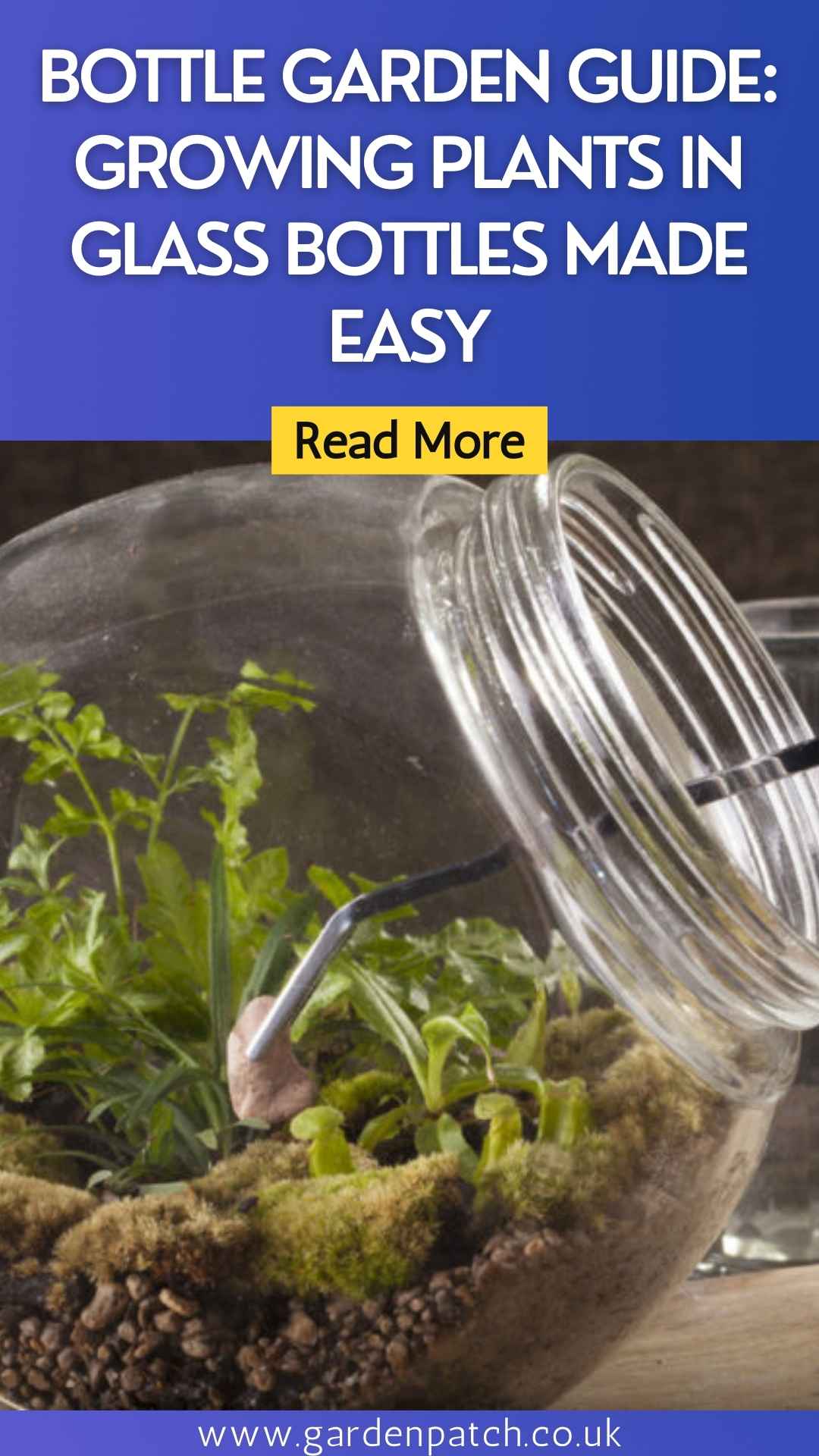 11 Bottle Garden Ideas (Growing Plants in Glass Bottles Made Easy)