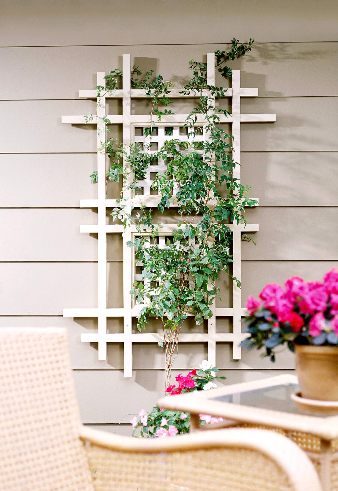 Where to Put a Trellis? 15 Ideas to Use a Trellis in Your Garden
