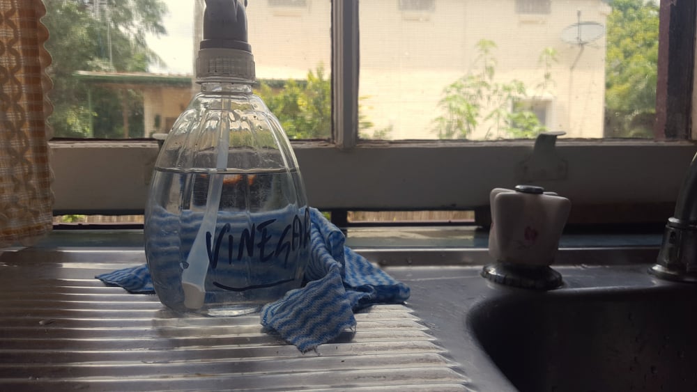 7 Ways To Stop Cats From Spraying in Your Garden & Outside