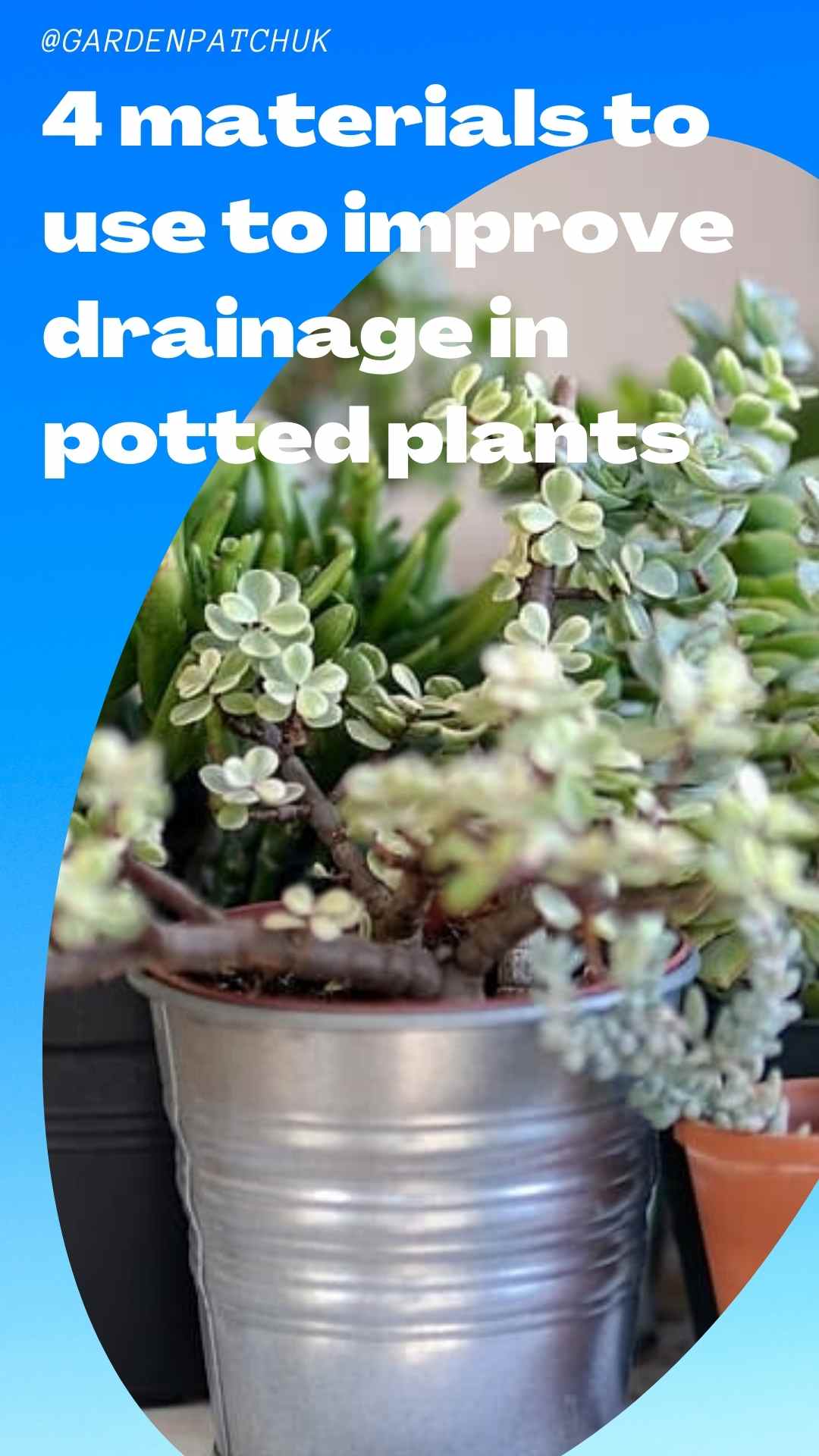 4 Materials to Use to Improve Drainage in Potted Plants
