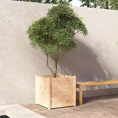 Can You Grow a Tree in a Planter Box? (How to Build it)