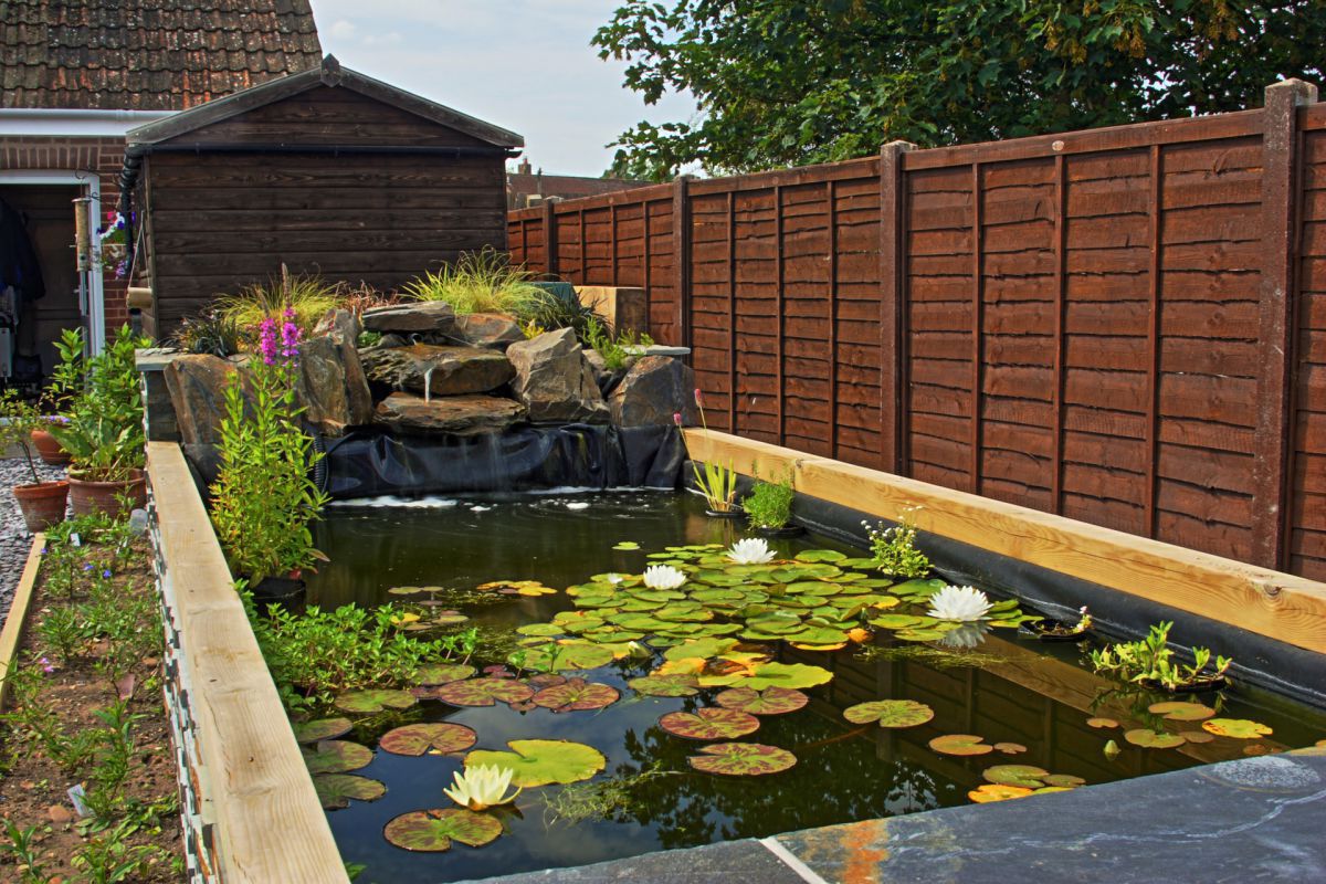Chris's raised pond Garden Pond Forums
