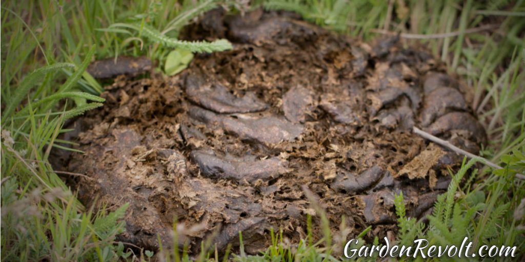 Does Compost Smell? (Causes, Guidelines & Practical Solutions) Garden