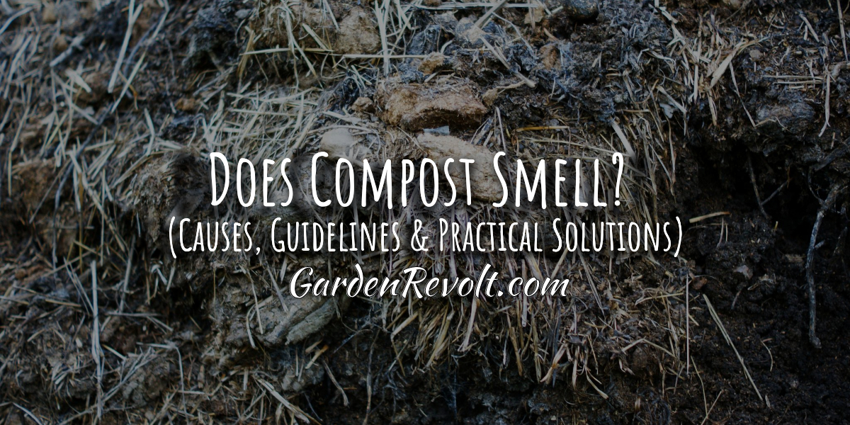 Does Compost Smell? (Causes, Guidelines & Practical Solutions) Garden
