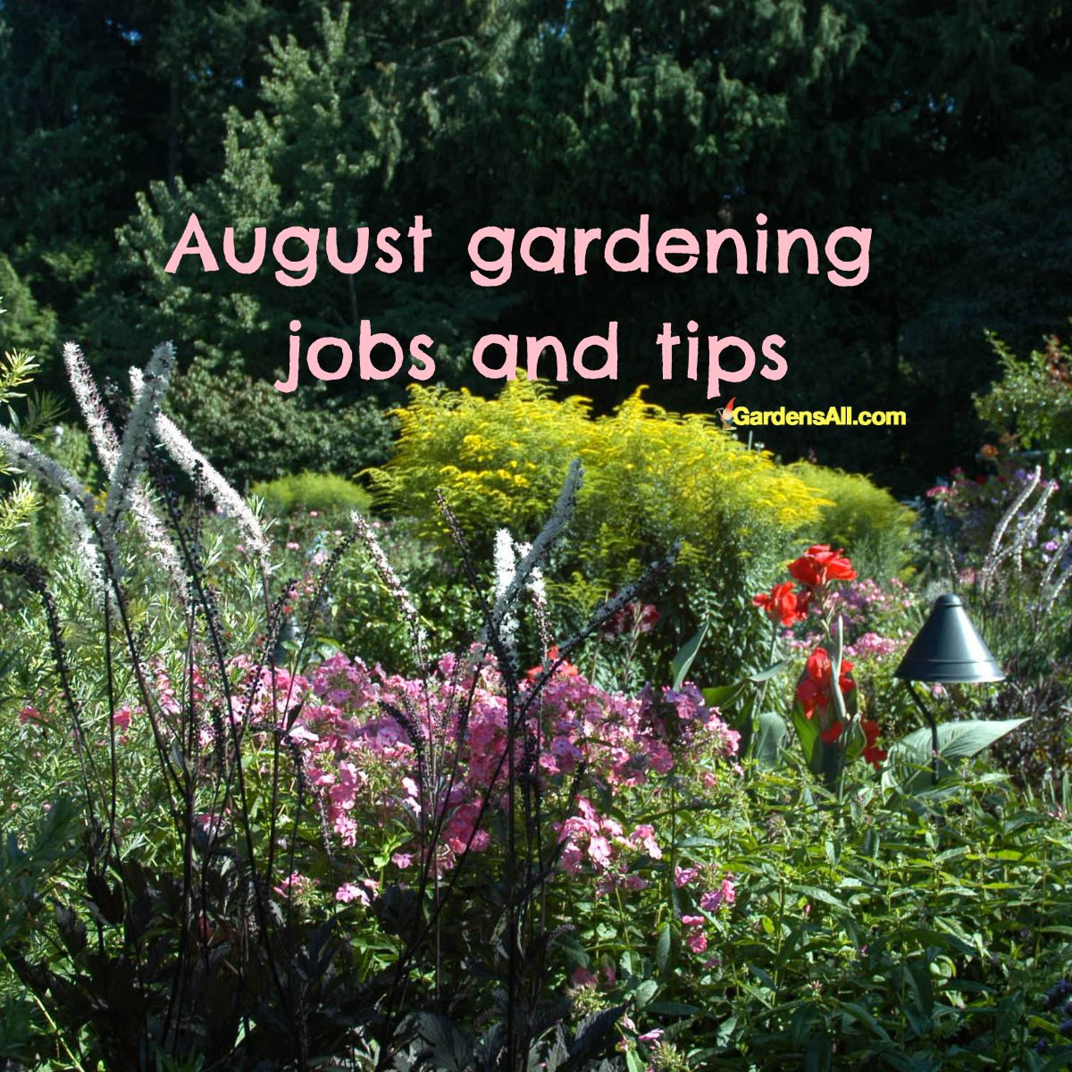 August Gardening Jobs and Tips GardensAll