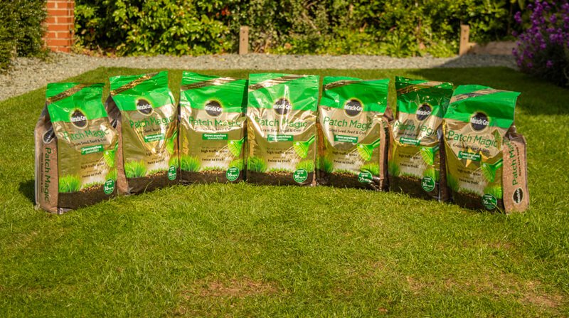 Miracle Gro Patch Magic Review
