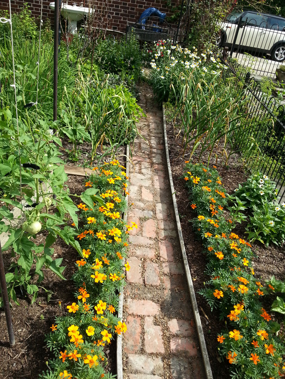 Garden Path Weed Destruction, Organically GardenSprite