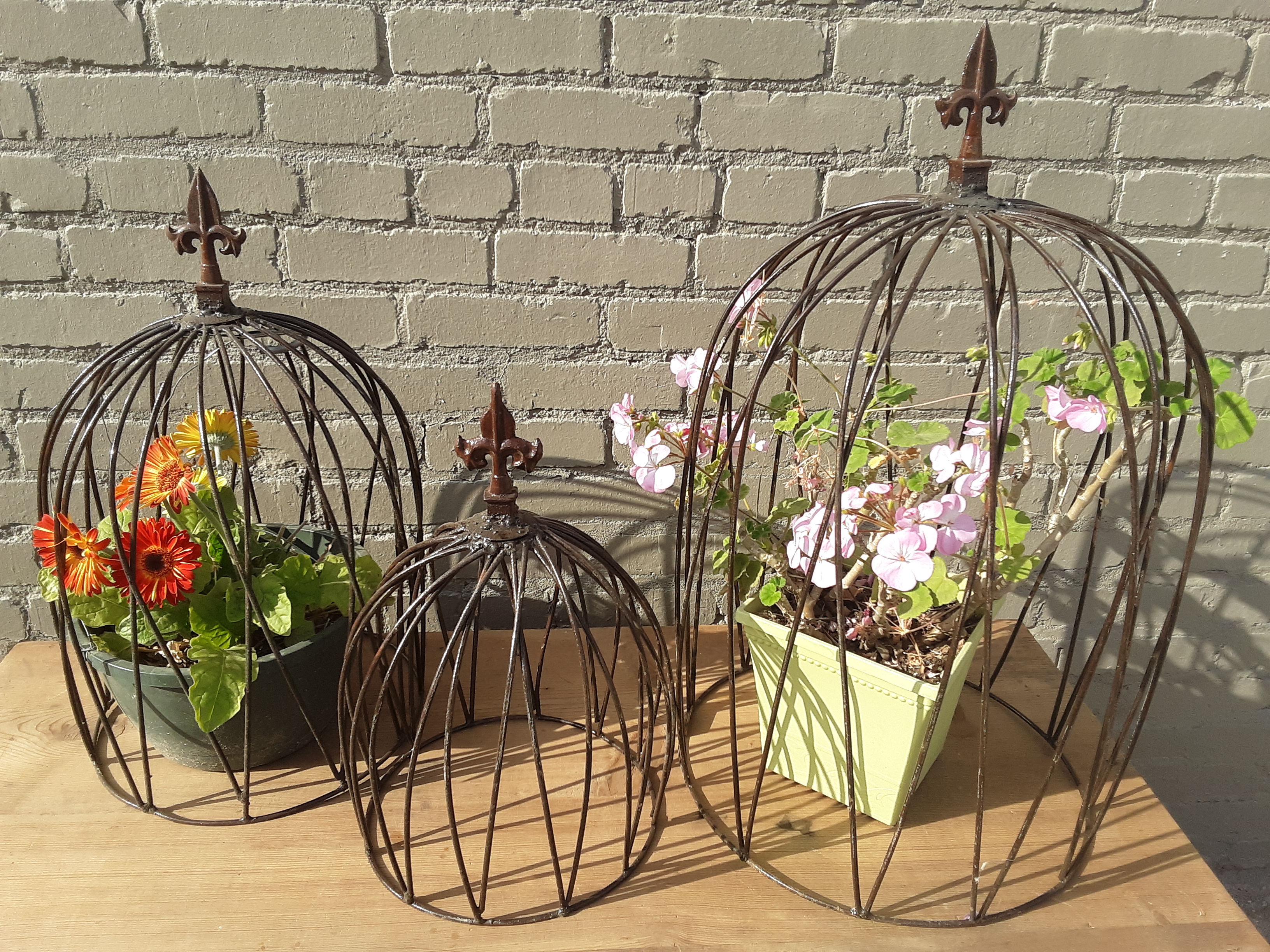 plantcoverssetof3 Garden Wire Decor