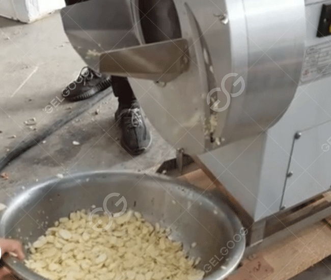 Garlic Powder Manufacturing Plant Process Of Making Garlic Powder